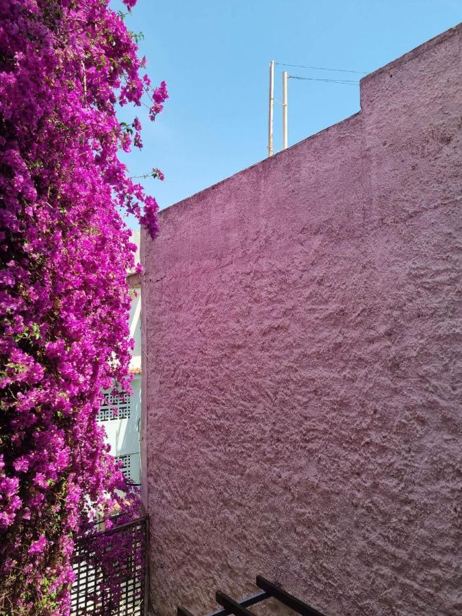 Canto-Home Alongside The Acropolis アテネ エクステリア 写真